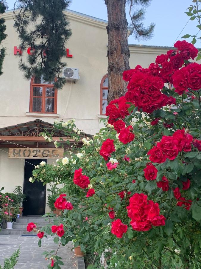 Hotel Kakhaberi Tetritskaro Екстериор снимка